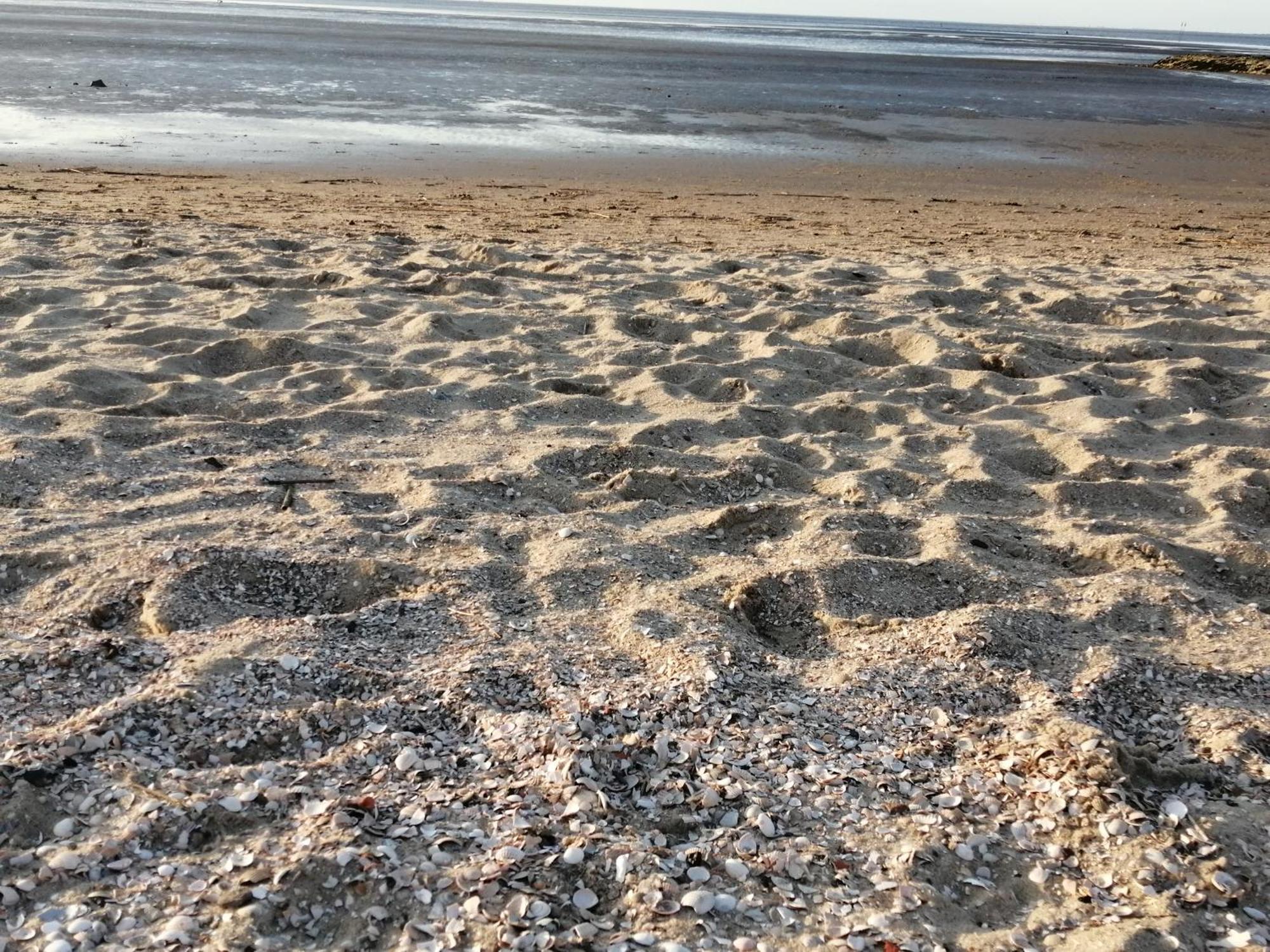 Steffis-strand-schule Apartment Cuxhaven